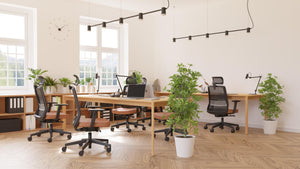 Biroja krēsls COCO HD Medley Black | WH | Chrome - Ergostock