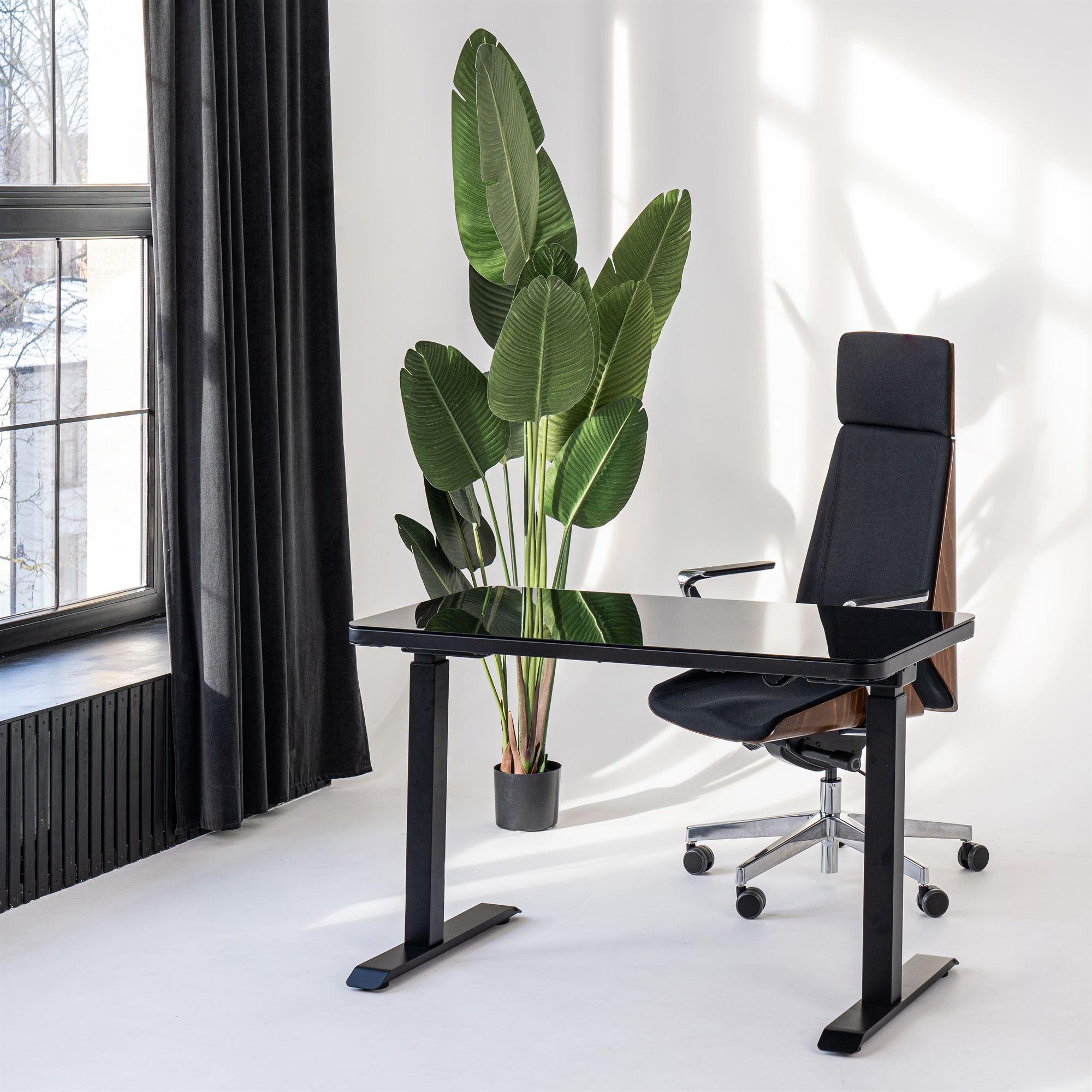 Elektriski augstumā regulējams multifunkcionāls galds Home Line - Ergostock