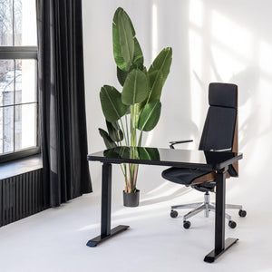 Elektriski augstumā regulējams multifunkcionāls galds Home Line - Ergostock