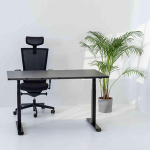 Elektriski augstumā regulējams galds Prestige Line - Ergostock