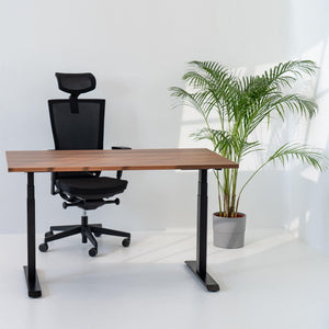 Elektriski augstumā regulējams galds Prestige Line - Ergostock