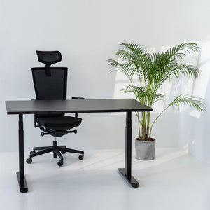 Elektriski augstumā regulējams galds Prestige Line - Ergostock