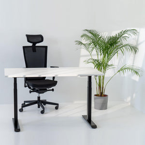 Elektriski augstumā regulējams galds Prestige Line - Ergostock