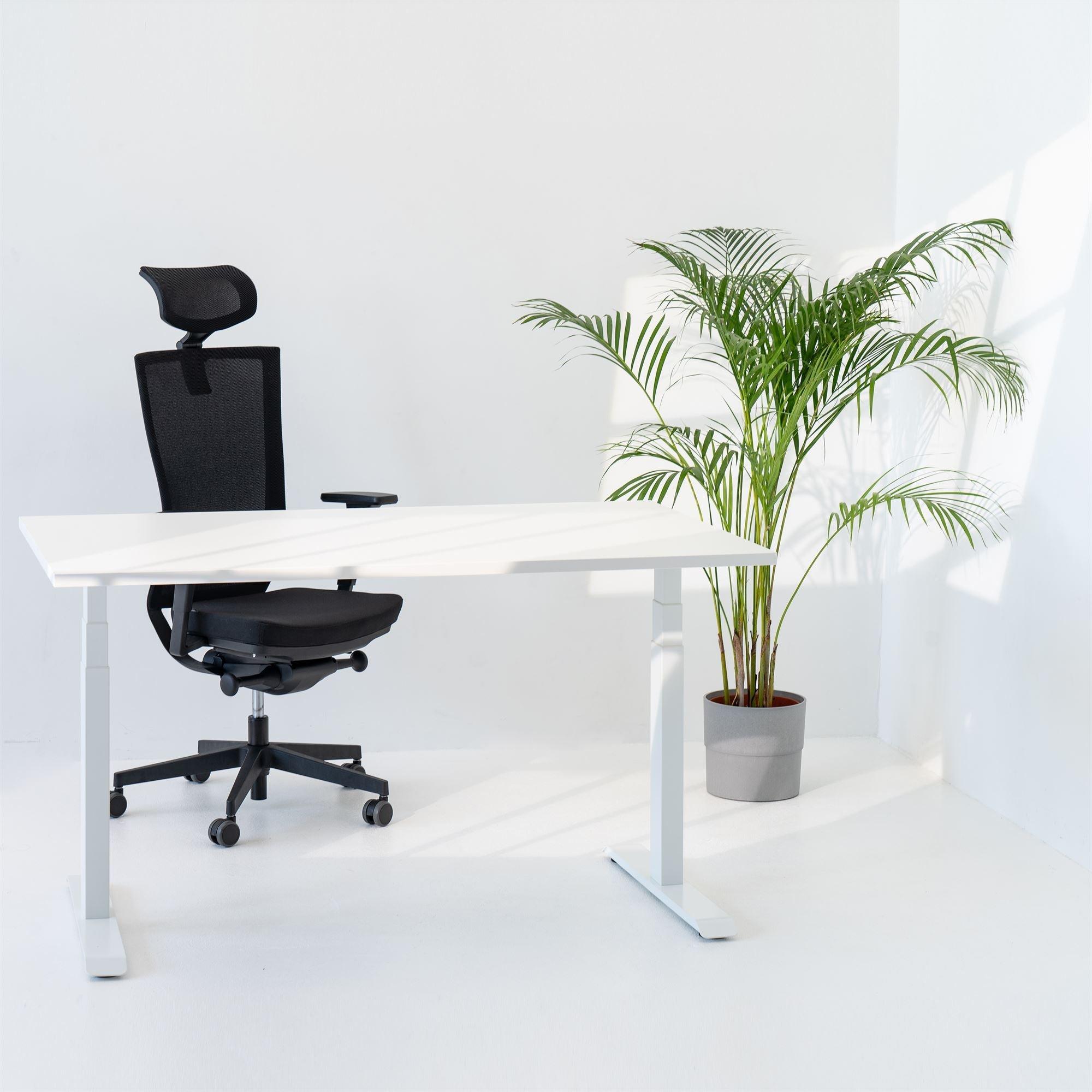 Elektriski augstumā regulējams galds Prestige Line - Ergostock