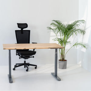 Elektriski augstumā regulējams galds Prestige Line - Ergostock