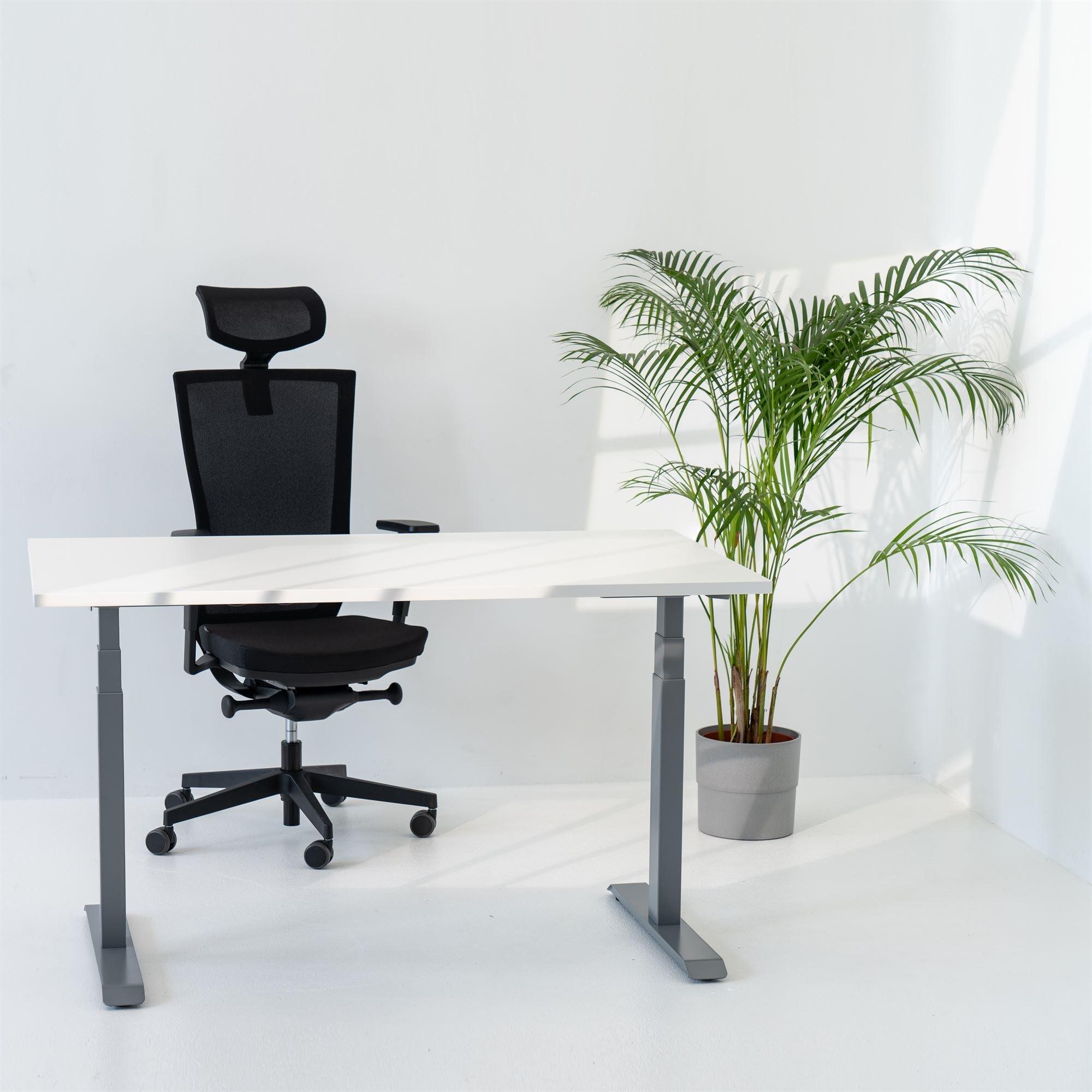 Elektriski augstumā regulējams galds Prestige Line - Ergostock