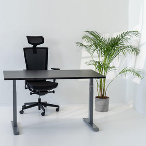 Elektriski augstumā regulējams galds Prestige Line - Ergostock