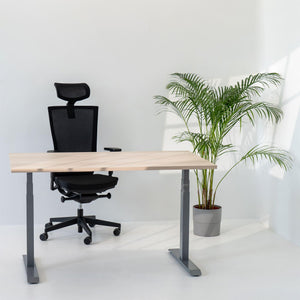 Elektriski augstumā regulējams galds Prestige Line - Ergostock