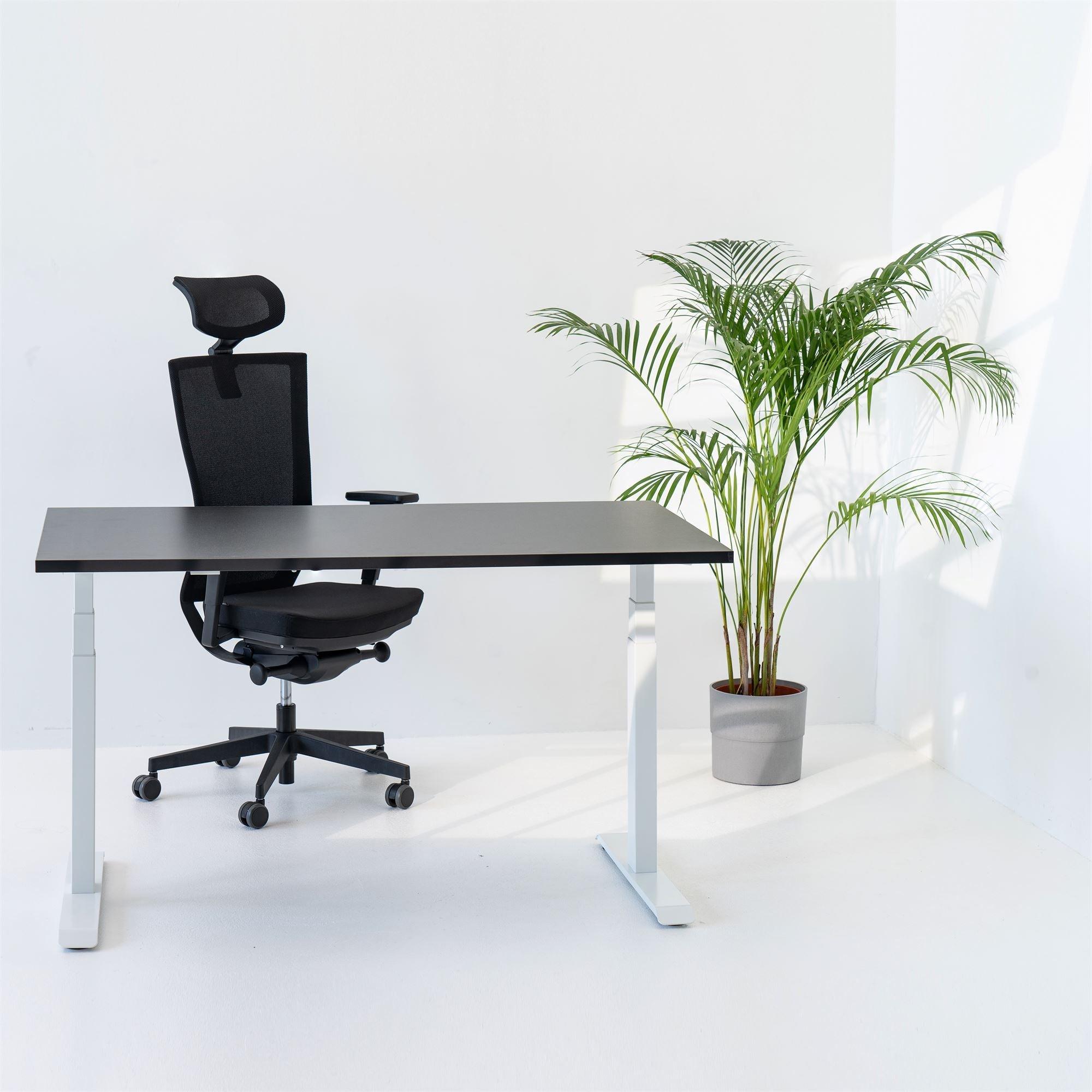 Elektriski augstumā regulējams galds Prestige Line - Ergostock