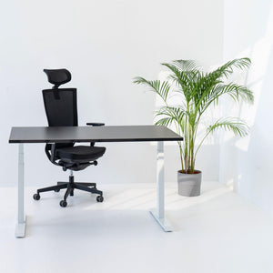 Elektriski augstumā regulējams galds Prestige Line - Ergostock
