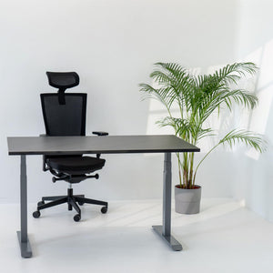 Elektriski augstumā regulējams galds Prestige Line - Ergostock