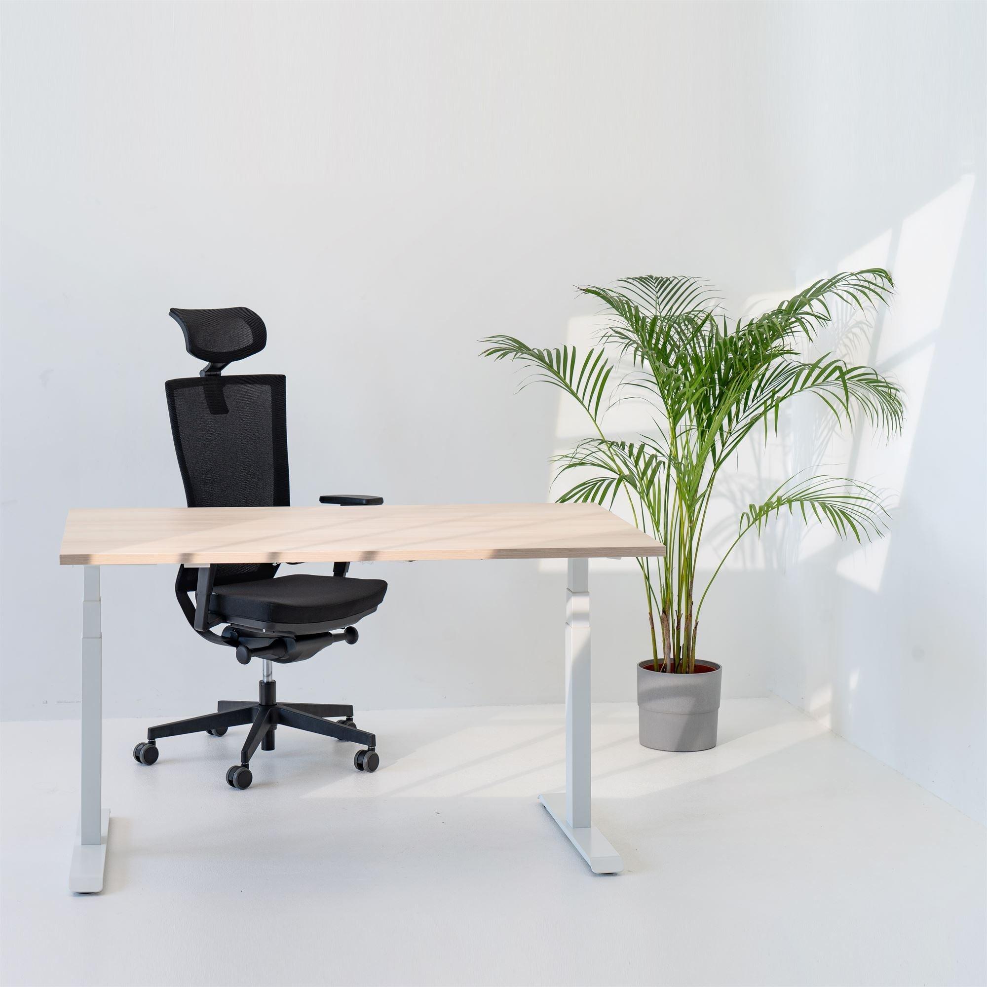 Elektriski augstumā regulējams galds Prestige Line - Ergostock