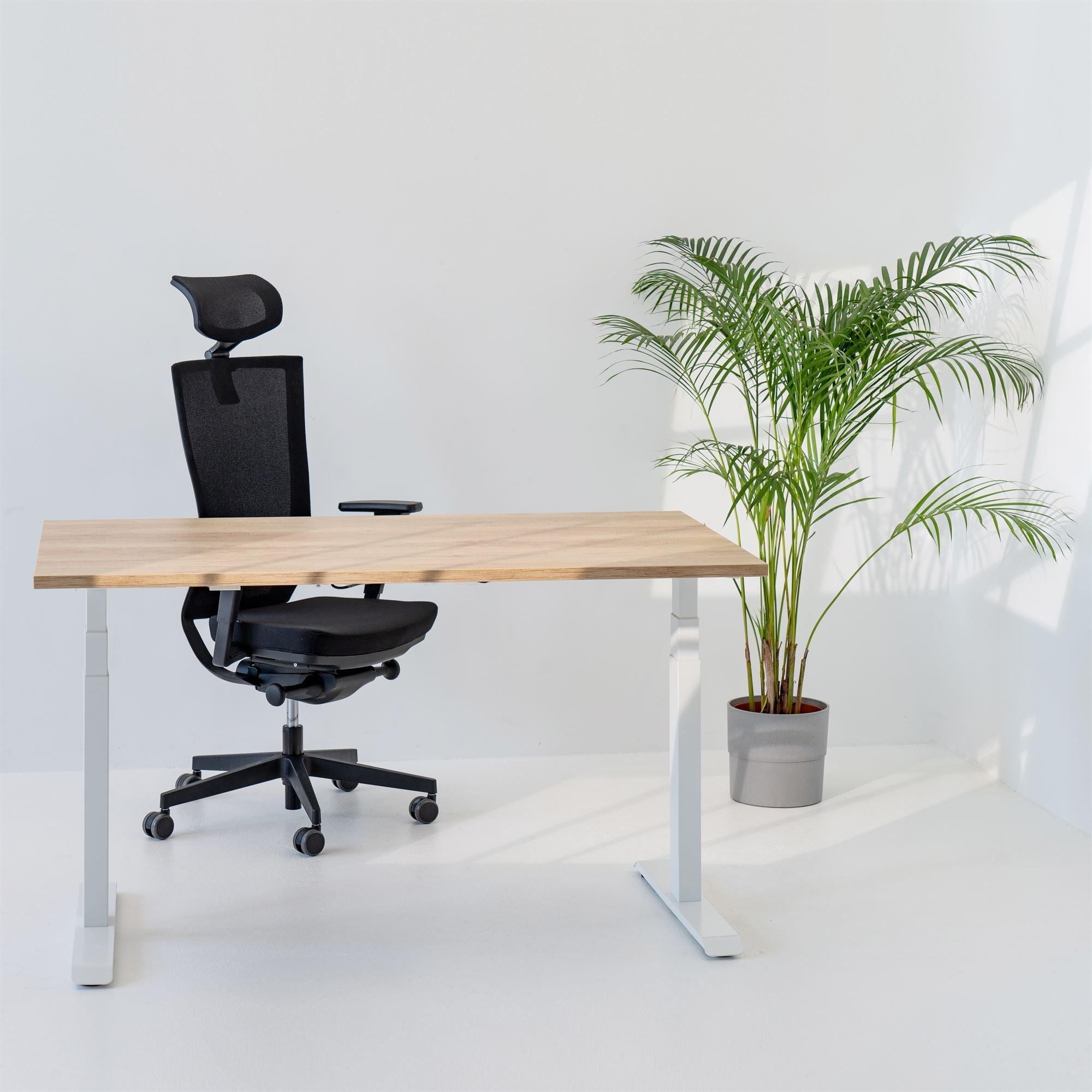 Elektriski augstumā regulējams galds Prestige Line - Ergostock