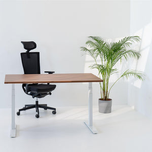 Elektriski augstumā regulējams galds Prestige Line - Ergostock