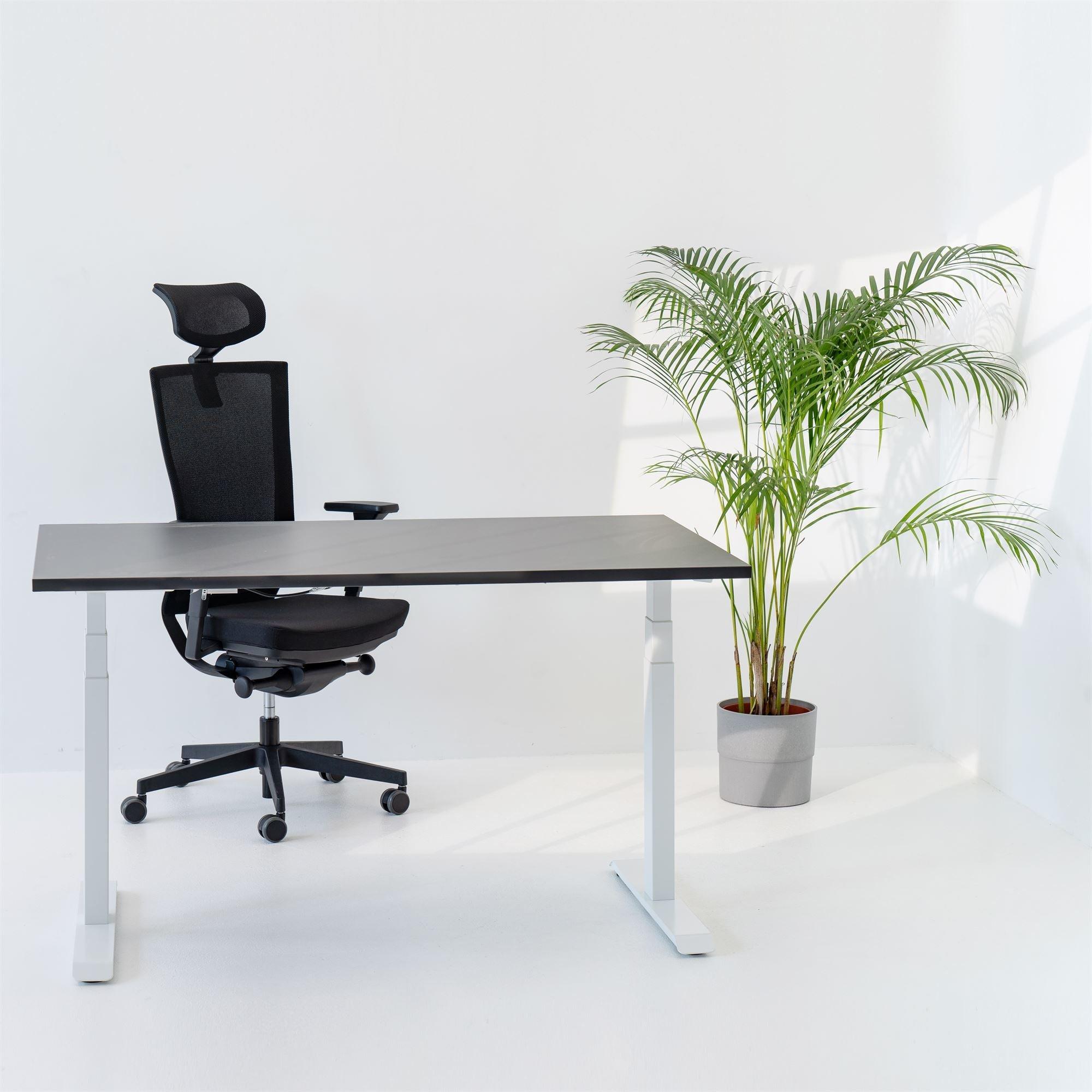 Elektriski augstumā regulējams galds Prestige Line - Ergostock