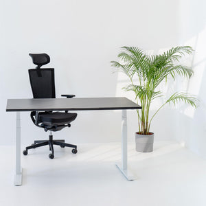 Elektriski augstumā regulējams galds Prestige Line - Ergostock