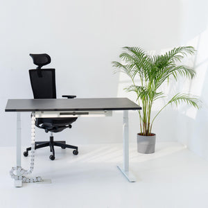 Elektriski augstumā regulējams galds Prestige Line - Ergostock