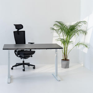 Elektriski augstumā regulējams galds Prestige Line - Ergostock