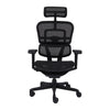 Biuro kėdė Ergohuman 2 Ultra ST BS Black