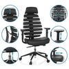 Biroja krēsls ERGO LINE II PRO Leather - Ergostock.lv