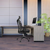 Biroja krēsls ERGO LINE II PRO Leather - Ergostock.lv