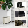 Šiukšlių dėžė CLEAN Beige 2 x 15 L