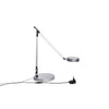 Galda lampa MAULgrace, LED - Ergostock