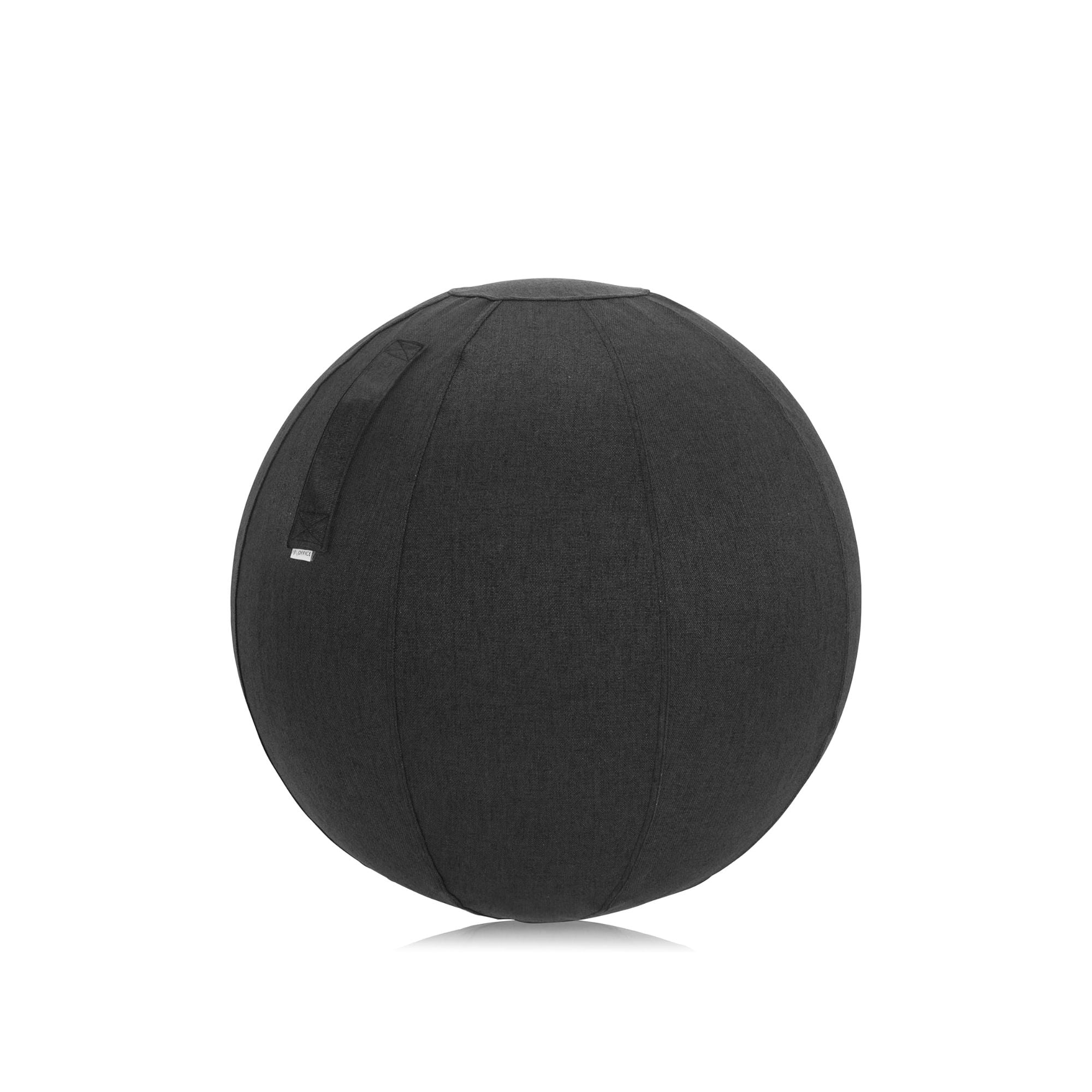 Ergonominis kamuolys ACTIVUM PRO, 65 cm skersmens