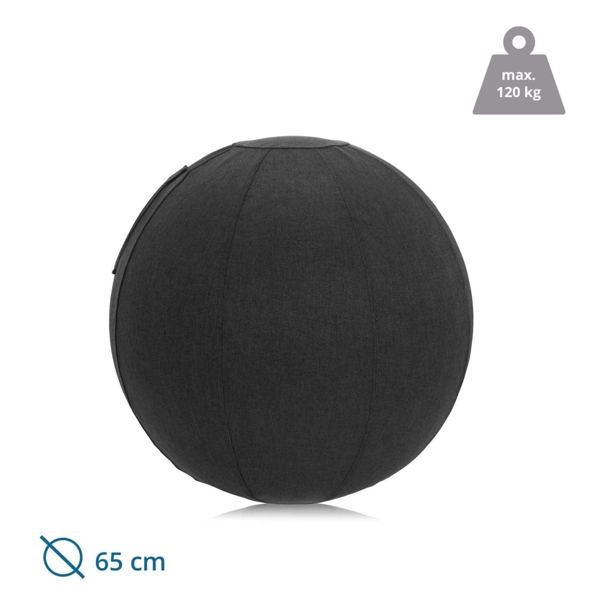 Ergonominis kamuolys ACTIVUM PRO, 65 cm skersmens