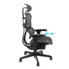 Biuro kėdė Ergohuman 2 Ultra ST BS Black