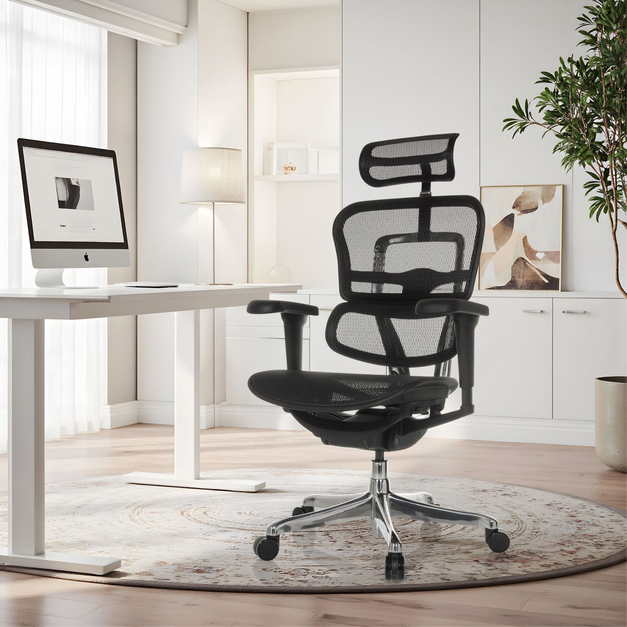 Biuro kėdė Ergohuman ULTRA GEN2 Black