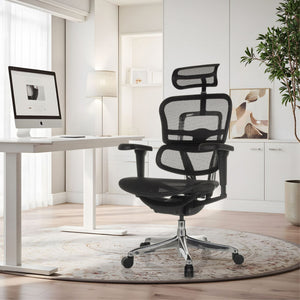 Biuro kėdė Ergohuman ULTRA GEN2 Black