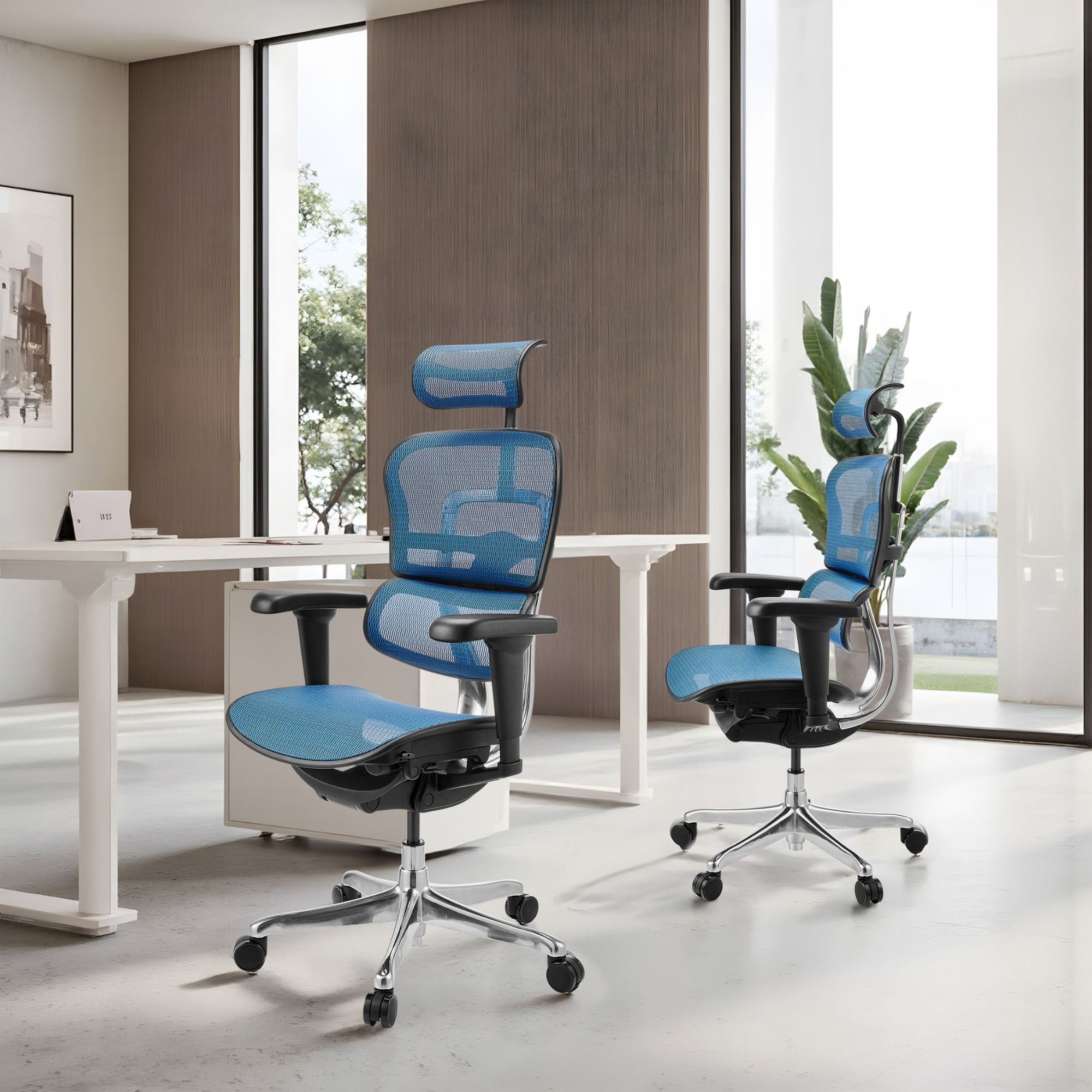 Biuro kėdė Ergohuman ULTRA GEN2 Blue