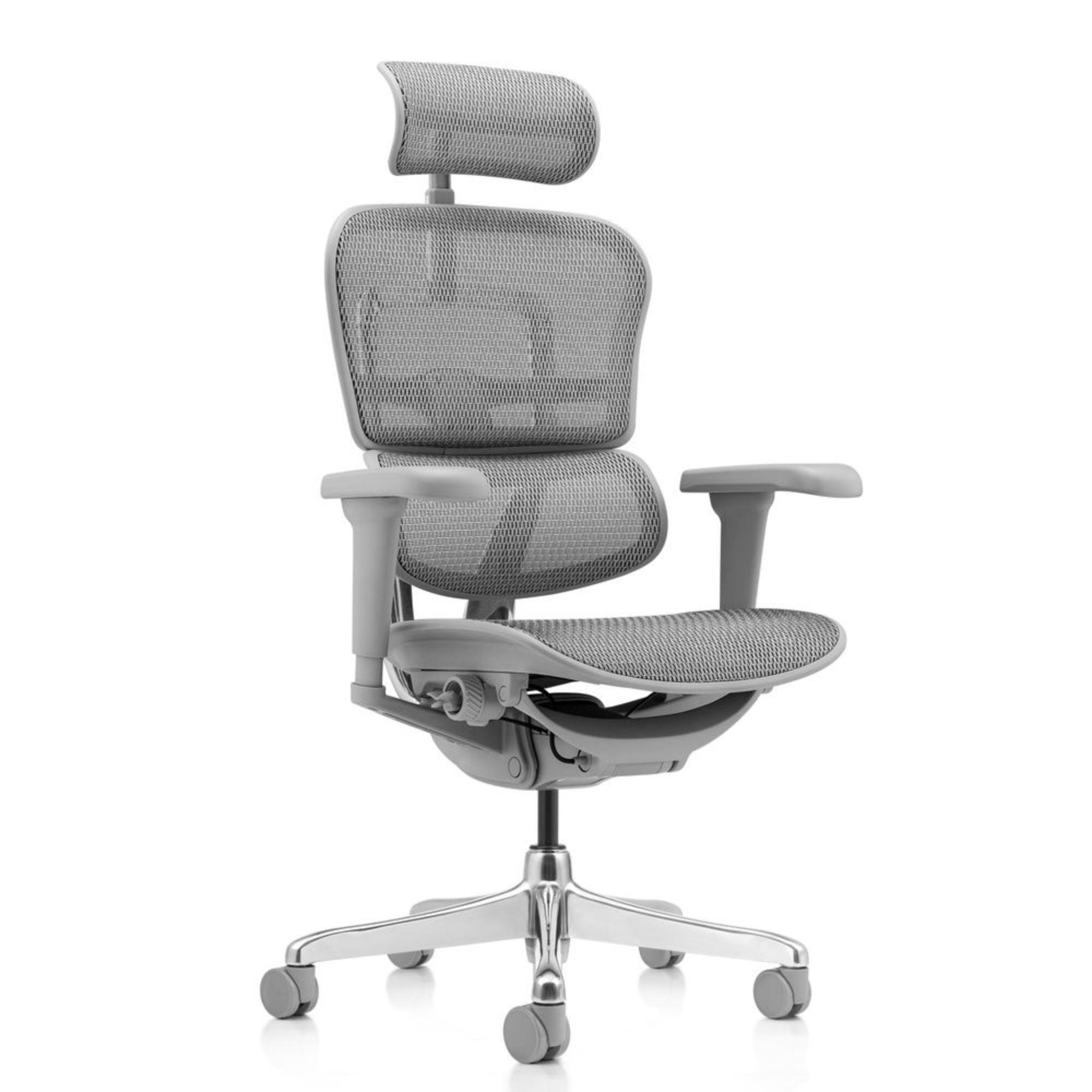 Biuro kėdė Ergohuman ULTRA GS GEN2 Grey