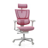 Biuro kėdė Ergohuman SLIM GS GEN2 Rosa