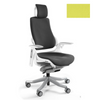 Ergonominė Biuro Kėdė WAU