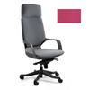 Ergonominė Biuro Kėdė APOLLO