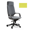 Ergonominė Biuro Kėdė APOLLO