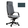 Ergonominė Biuro Kėdė APOLLO