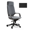 Ergonominė Biuro Kėdė APOLLO