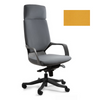 Ergonominė Biuro Kėdė APOLLO