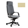 Ergonominė Biuro Kėdė APOLLO