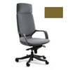 Ergonominė Biuro Kėdė APOLLO