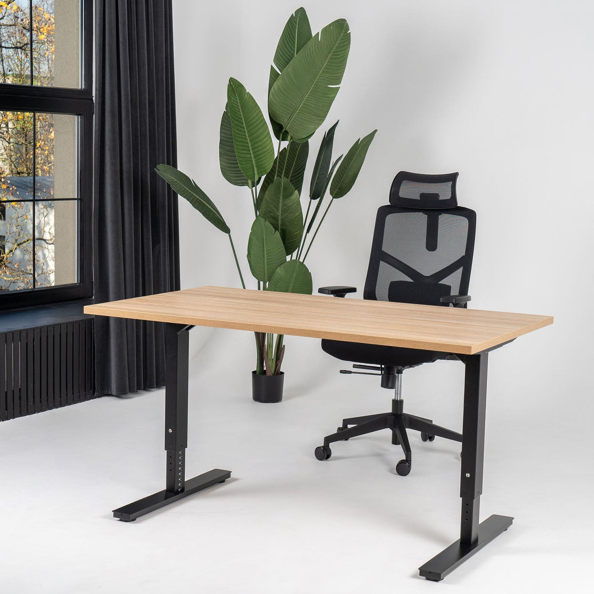 Reguliuojamo aukščio biuro stalas Forza Line – American oak / Juoda / 120 x 65