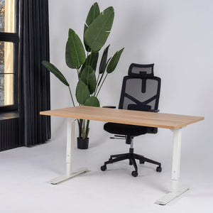 Reguliuojamo aukščio biuro stalas Forza Line – American oak / Balta / 120 x 65