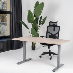 Reguliuojamo aukščio biuro stalas Forza Line – Nabucco / Sidabro / 120 x 65