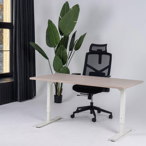 Reguliuojamo aukščio biuro stalas Forza Line – Nabucco / Balta / 120 x 65