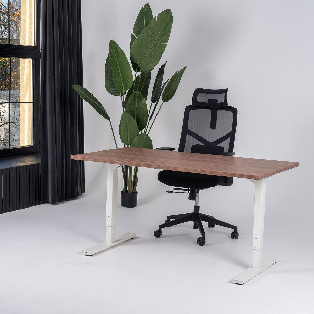 Reguliuojamo aukščio biuro stalas Forza Line – Riešutmedis / Balta / 120 x 65