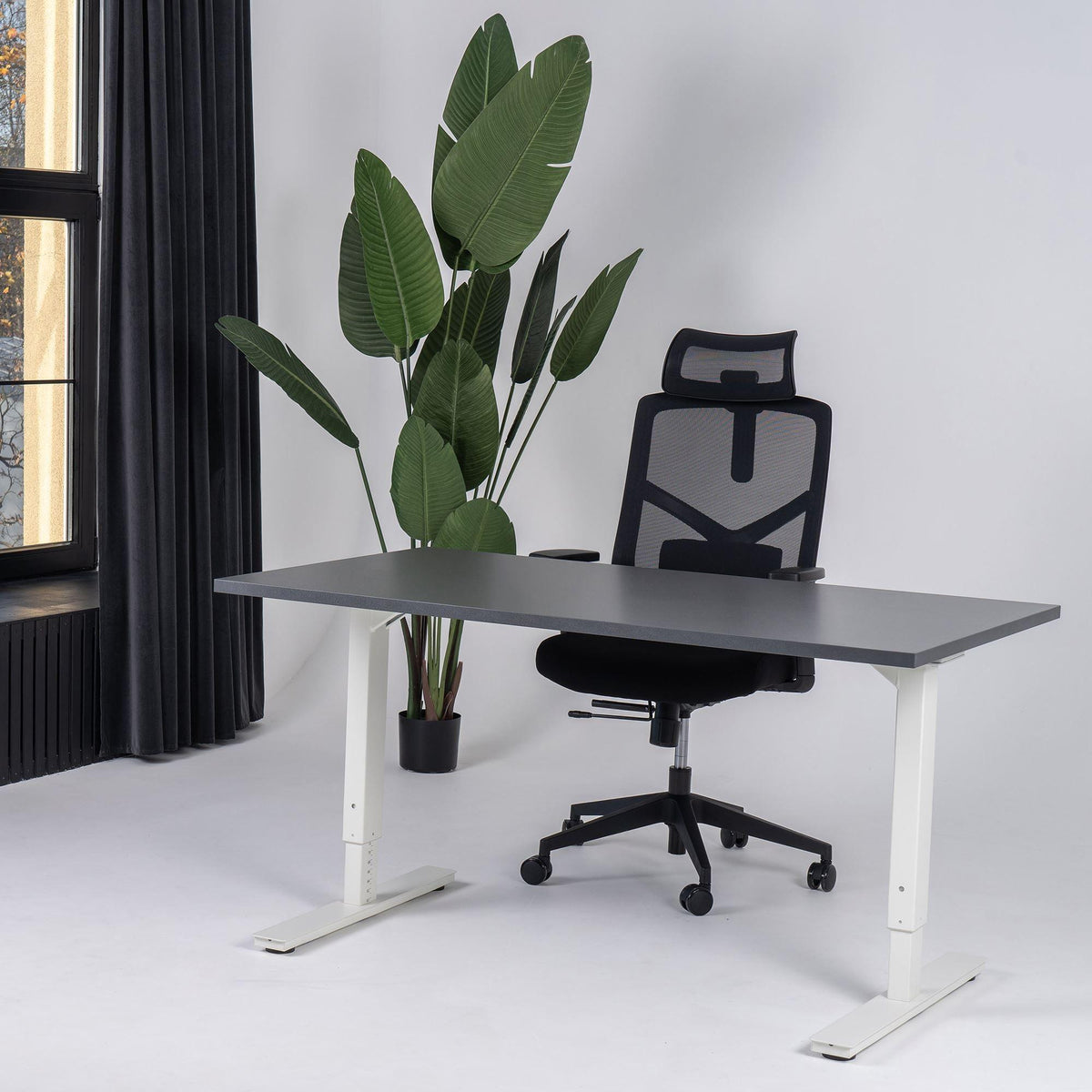 Reguliuojamo aukščio biuro stalas Forza Line – Antracito / Balta / 120 x 65
