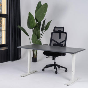 Reguliuojamo aukščio biuro stalas Forza Line – Antracito / Balta / 120 x 65